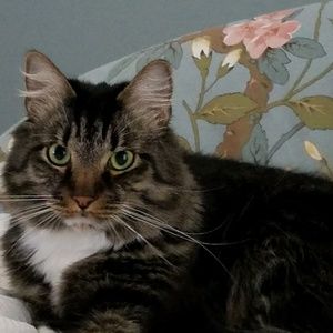 Meet your Posher, Mindy